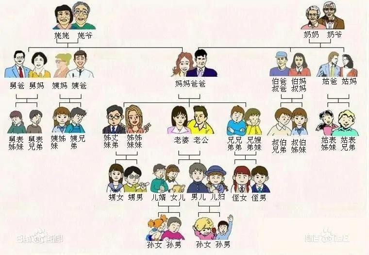 三代以内直系、旁系血亲和姻亲关系是指什么第1张-来时的路